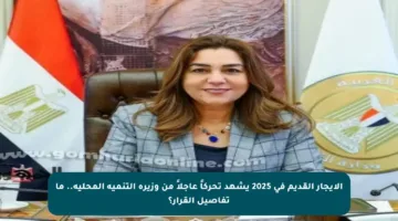 الإيجار القديم في 2025 يشهد تحركاً عاجلاً من وزيرة التنمية المحلية.. ما تفاصيل القرار؟